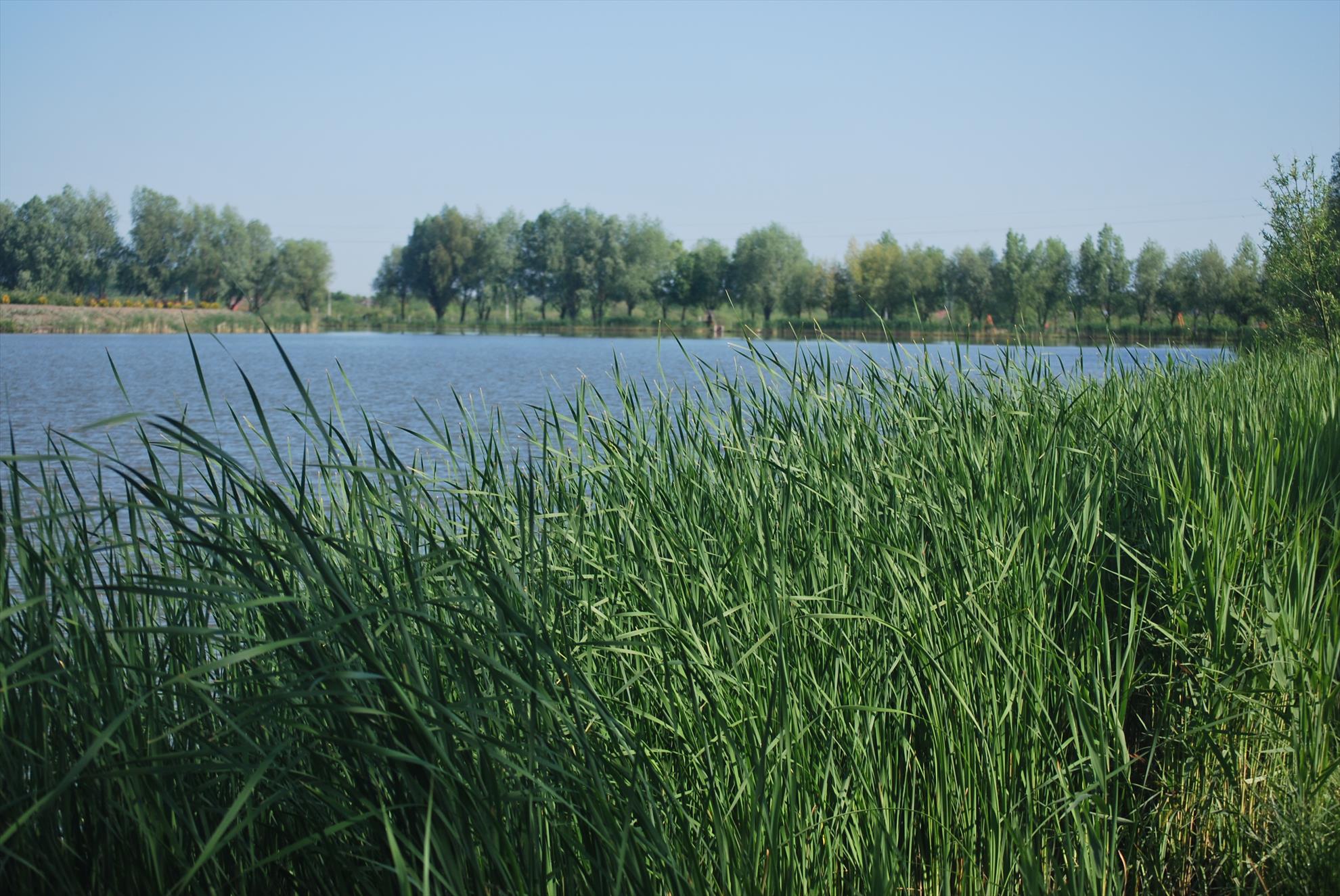 Ungaria Nagikalo - dsc1027.JPG